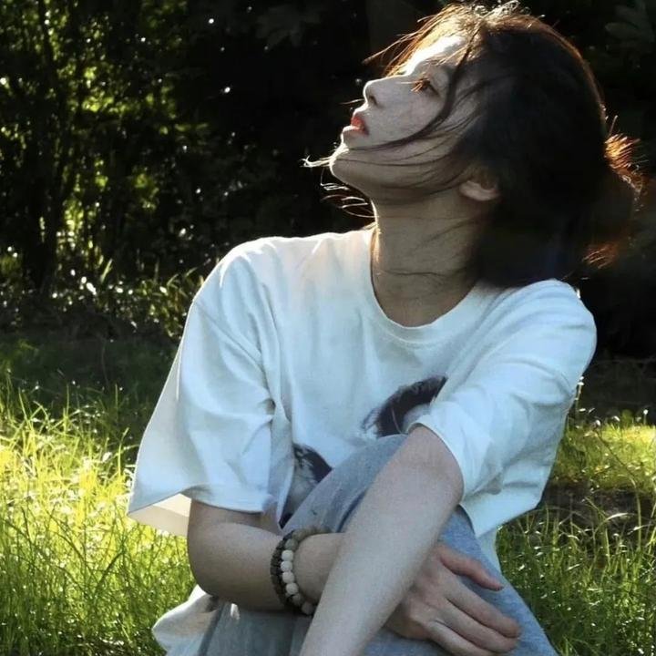 深宫碟影